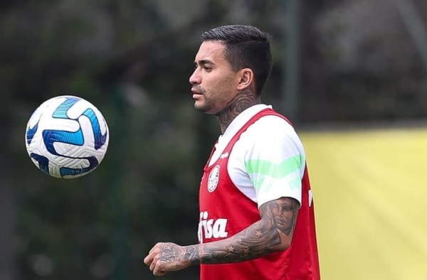 Com Dudu e Menino em transição, Palmeiras se reapresenta de olho na Libertadores