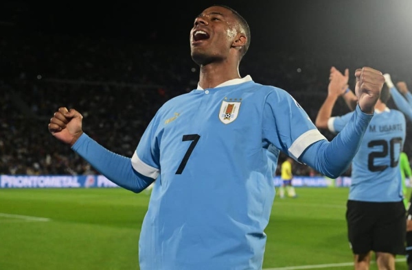 Descubre el mundo del entretenimiento online con bet917