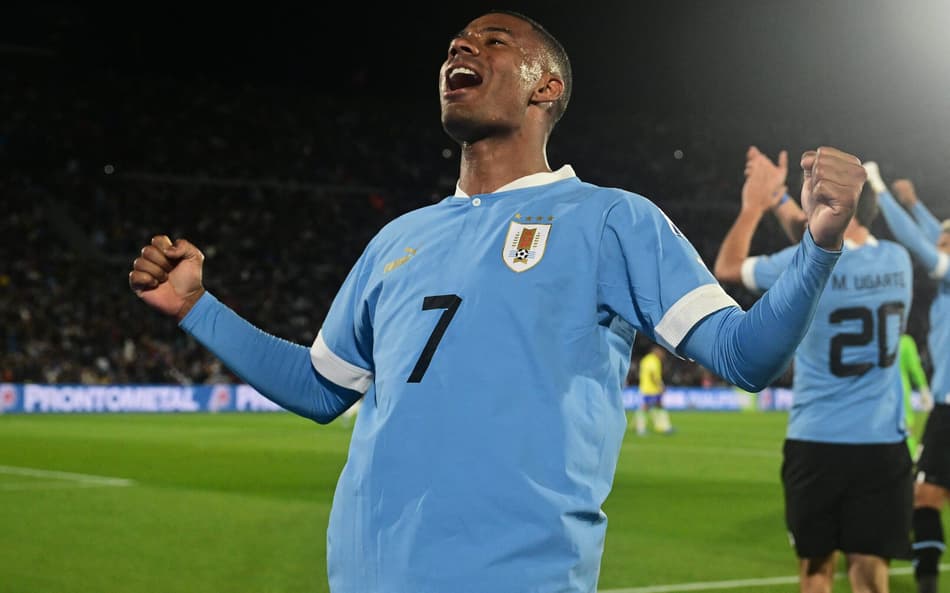 Descubre el mundo del entretenimiento online con bet917