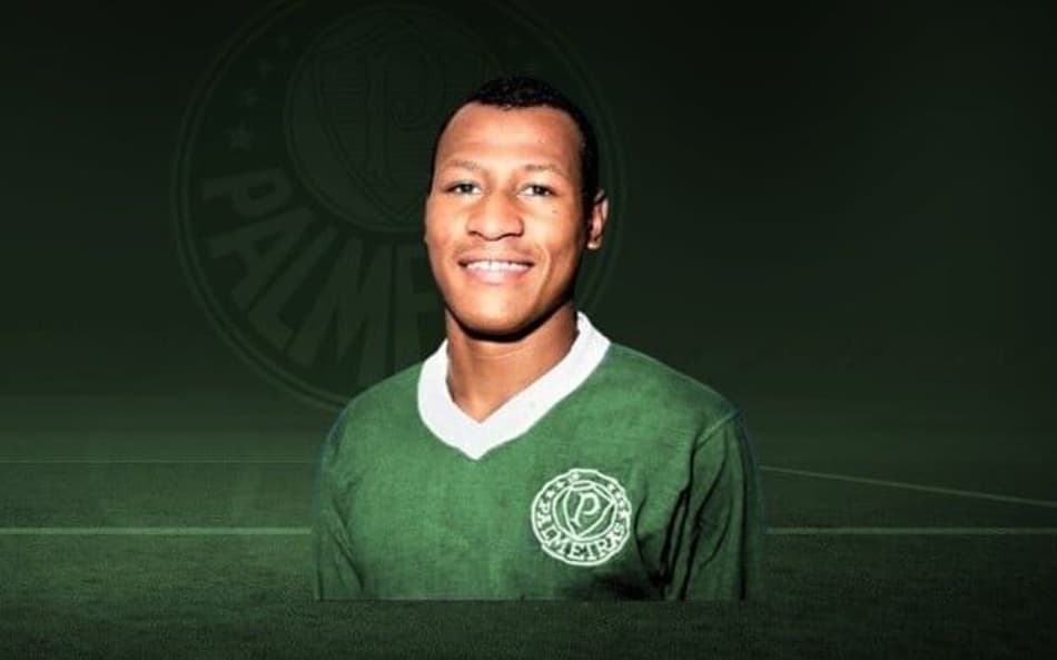 Edu Bala fala sobre jogar no elenco atual do Palmeiras: ‘Espaço sempre tem, mas me sinto bem agora como torcedor’