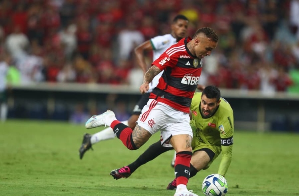 Em ascensão, Everton Cebolinha reencontra bom futebol e aproveita chances no Flamengo de Sampaoli