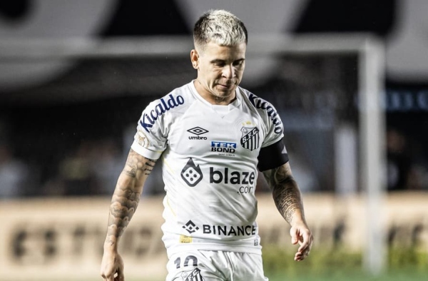 kfpg bet: La Casa de los Jugadores con Sustancia