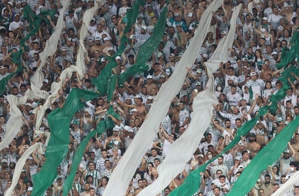 Palmeiras se aproxima de rival em ranking de maiores torcidas do Brasil