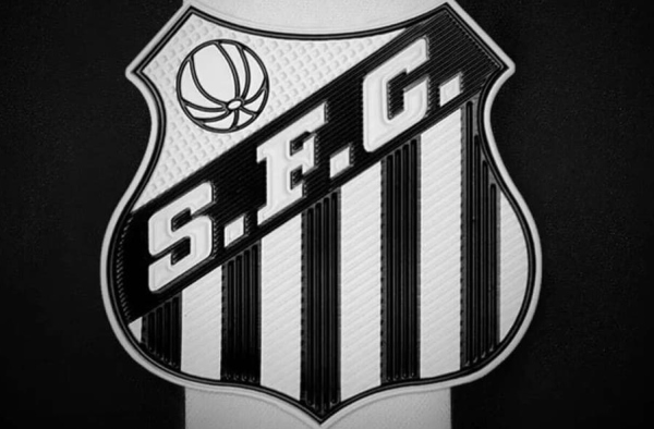 Quantas vezes o Santos foi campeão brasileiro? Quando foi a última vez?