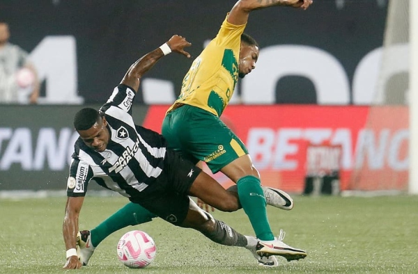 Tapetinho? Acostumado com sintético, Palmeiras estreia no novo gramado do Engenhão