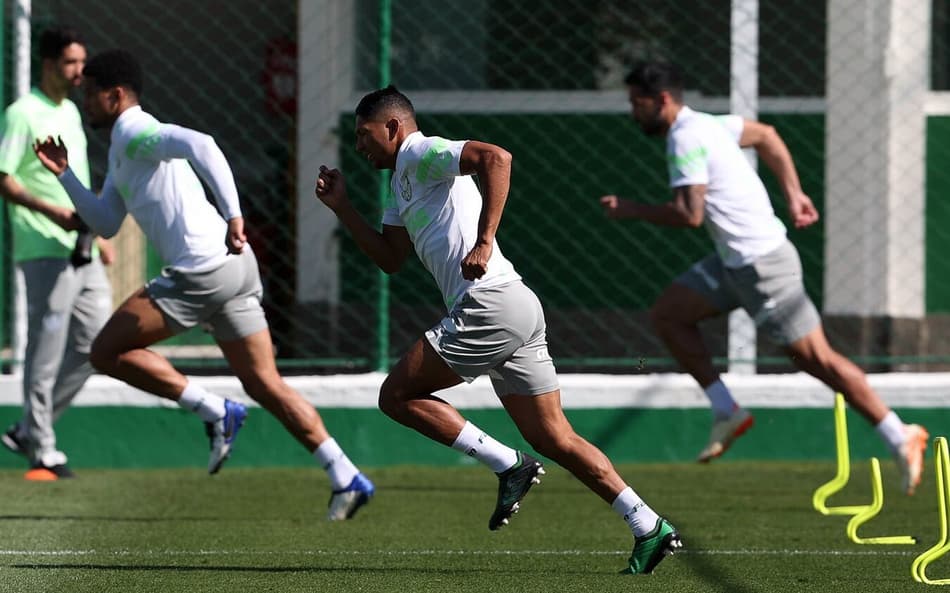 Trio faz tratamento no DM, e Palmeiras segue preparação para enfrentar o Cuiabá