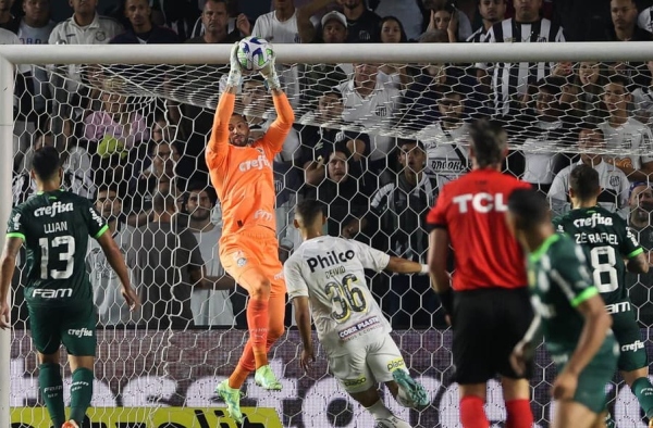Único invicto no Brasileirão, Palmeiras amplia outras invencibilidades que estavam em jogo